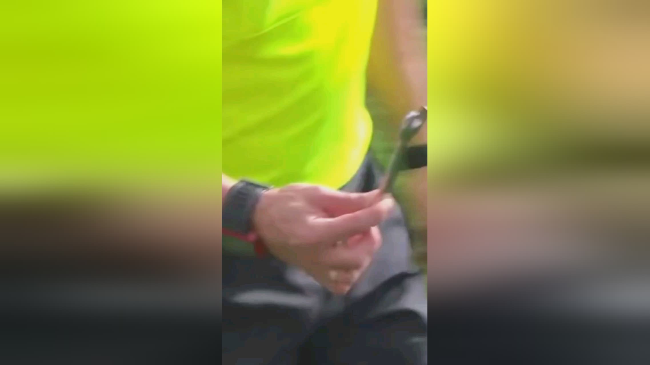 观赛